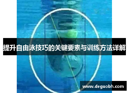 提升自由泳技巧的关键要素与训练方法详解